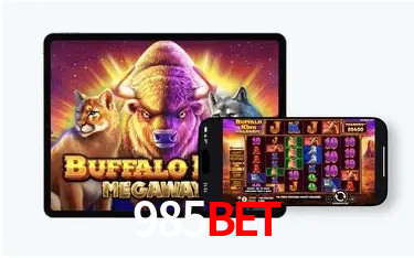 Recursos de Bônus 985bet